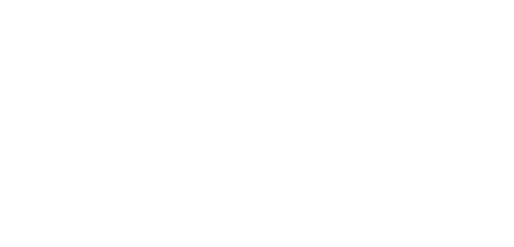2N